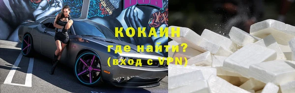 стаф Алексин