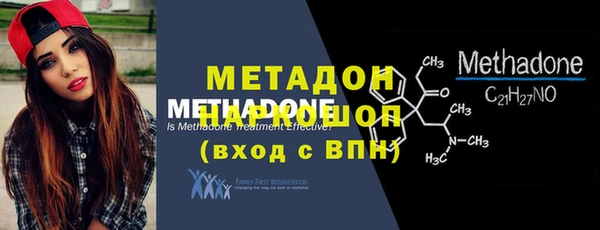 стаф Алексин