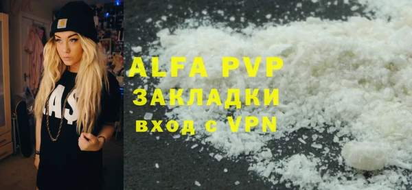 стаф Алексин